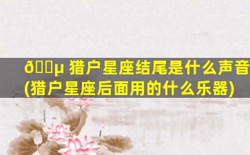 🌵 猎户星座结尾是什么声音(猎户星座后面用的什么乐器)